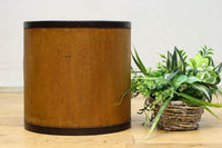 稀少サイズ!!すっきりとシンプルな五升マス DC8408