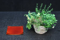 艶やかな春慶塗りが美しい菓子皿 DC8424 在庫15枚