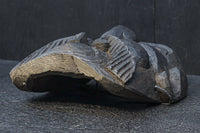 【ご精算用】かまど面 DC8435