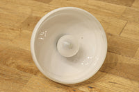 可愛らしい葉柄の透かし模様で風情ある電笠 DC8448