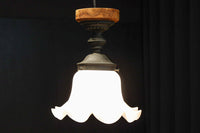 ceiling mounted light DC8452