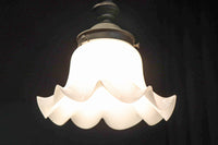 ceiling mounted light DC8452