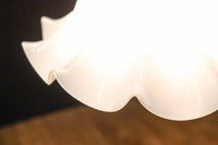 ceiling mounted light DC8452