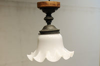 ceiling mounted light DC8452