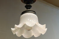 ceiling mounted light DC8452