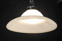 ころころと愛嬌ある丸みが魅力的な電笠 DC8471