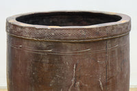 朴訥な風合いで温かみのあるカメ DC8476