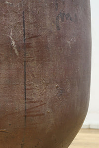 朴訥な風合いで温かみのあるカメ DC8476