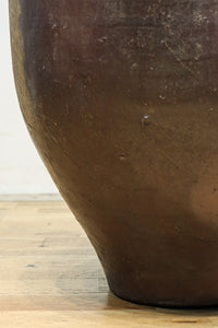 朴訥な風合いで温かみのあるカメ DC8476