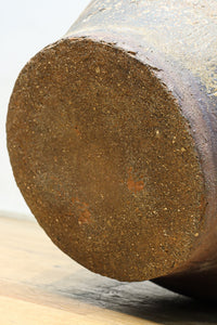 朴訥な風合いで温かみのあるカメ DC8476