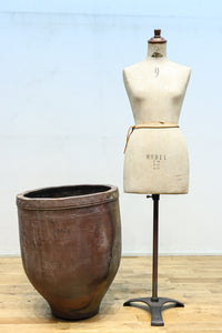 朴訥な風合いで温かみのあるカメ DC8476