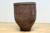 朴訥な風合いで温かみのあるカメ DC8476