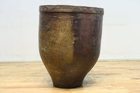 朴訥な風合いで温かみのあるカメ DC8476