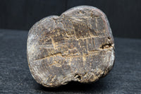 時代を重ねた風格漂う恵比寿様大黒様のセット DC8543 在庫2体一組