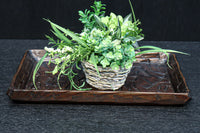 Antique tool (Kaku-bon) DC8564