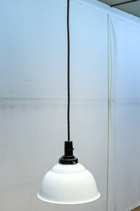 栗の絵柄が内側に描かれたノリタケの電笠 DC8570