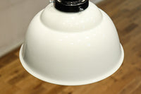 栗の絵柄が内側に描かれたノリタケの電笠 DC8570