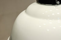 栗の絵柄が内側に描かれたノリタケの電笠 DC8570