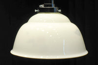 栗の絵柄が内側に描かれたノリタケの電笠 DC8570