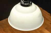 栗の絵柄が内側に描かれたノリタケの電笠 DC8570