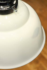 栗の絵柄が内側に描かれたノリタケの電笠 DC8570