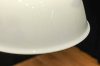 栗の絵柄が内側に描かれたノリタケの電笠 DC8570