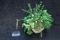 Antique tool (Hainarashi) DC8608