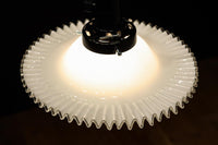 細やかに波打つ透明のフリル縁がレトロ感漂う電笠 DC8614