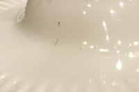 細やかに波打つ透明のフリル縁がレトロ感漂う電笠 DC8614