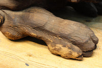 Antique Tools DC8646