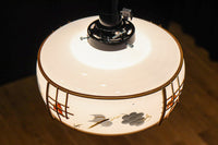 紅葉のセル装飾が可愛らしい電笠 DC8709