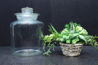 Antique Tools DC8749ab