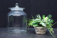 Antique Tools DC8749ab