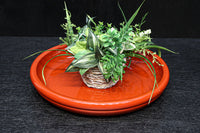 Antique tools DC8776