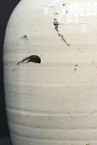 白地に達筆な文字が力強い大振りの酒徳利 DC8786ab 在庫(a:1 b:1)個