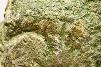 Antique tools DC8788