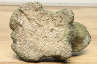 Antique tools DC8789