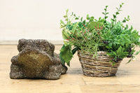 Antique tools DC8789