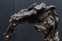 造形的なデザインで風情溢れる花カゴ DC8856 在庫1組