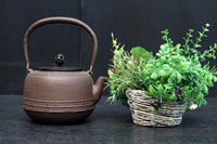 シンプルな装飾で風情ある「浄清」銘入り鉄瓶 DC8861