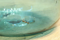 温かみある淡い色彩のレトロガラス大瓶(栓付き) DC8886 在庫1組