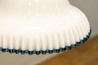 水色の縁取りが可愛らしい細やかなフリルの電笠 DC8896