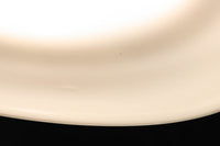 ふんわりと丸みを帯びた愛嬌のある電笠 DC8900