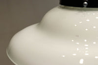 ふんわりと丸みを帯びた愛嬌のある電笠 DC8900