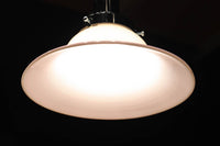 ピンクの縁取りで華やかな面持ちの電笠 DC8902