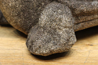 素朴な雰囲気のカメの石像 DC8975