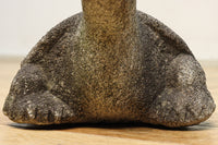 素朴な雰囲気のカメの石像 DC8975