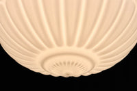 ceiling light DC9086