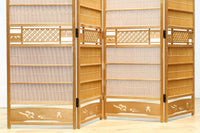 Tsuitate (Screen) DC9229