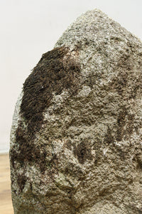 Stone Buddha DC9656
